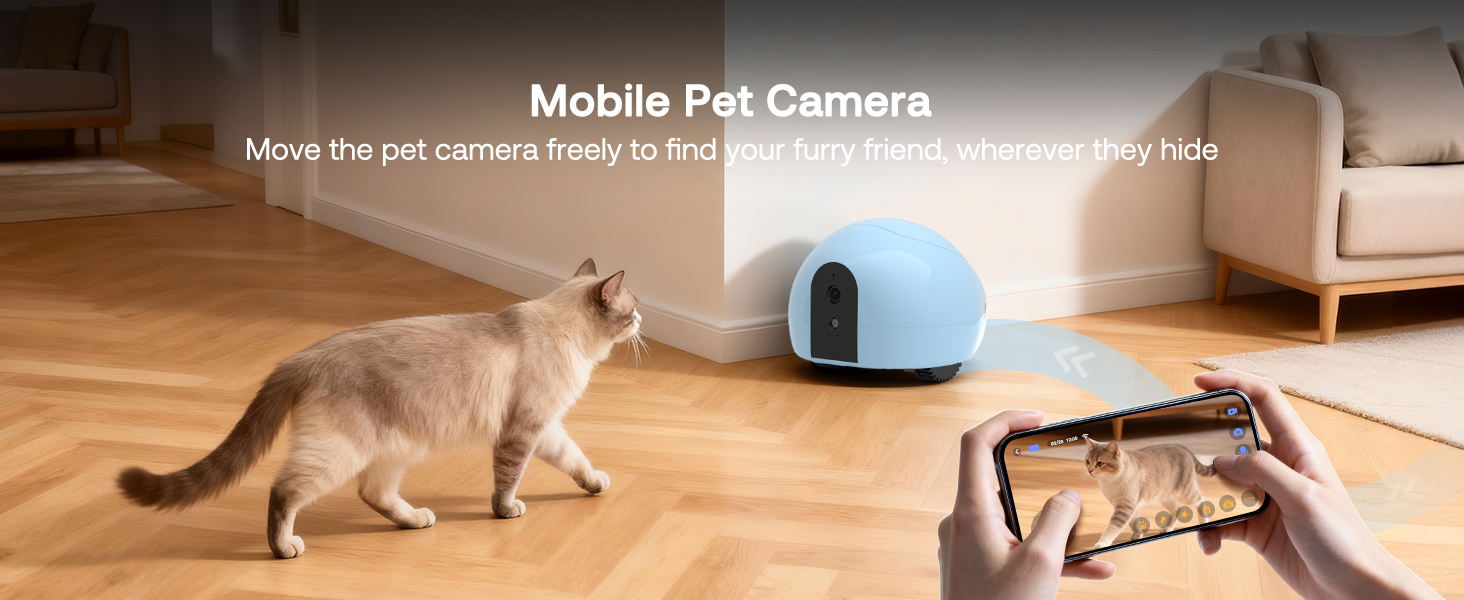 Capture Every Cute Moment